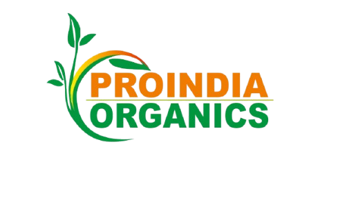 logo_page-0001-removebg-preview